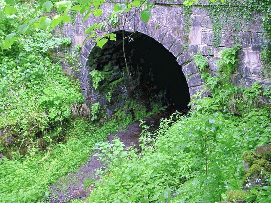 The Daneway portal of the Sapperton canal tunnel, seen in 2002. Quite a wet summer meant lots of foliage and greenery around the portal!