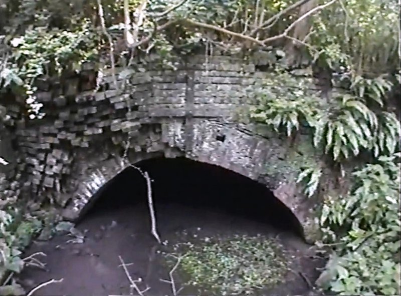 The increasingly fragile portal of Hardham tunnel with its brickwork in a very precarious state and it looks as if part of it is about to fall into the remains of the canal below.